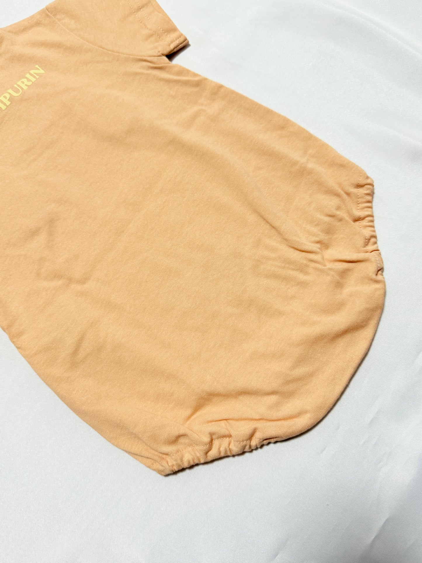 Pompompurin Romper 6-9m