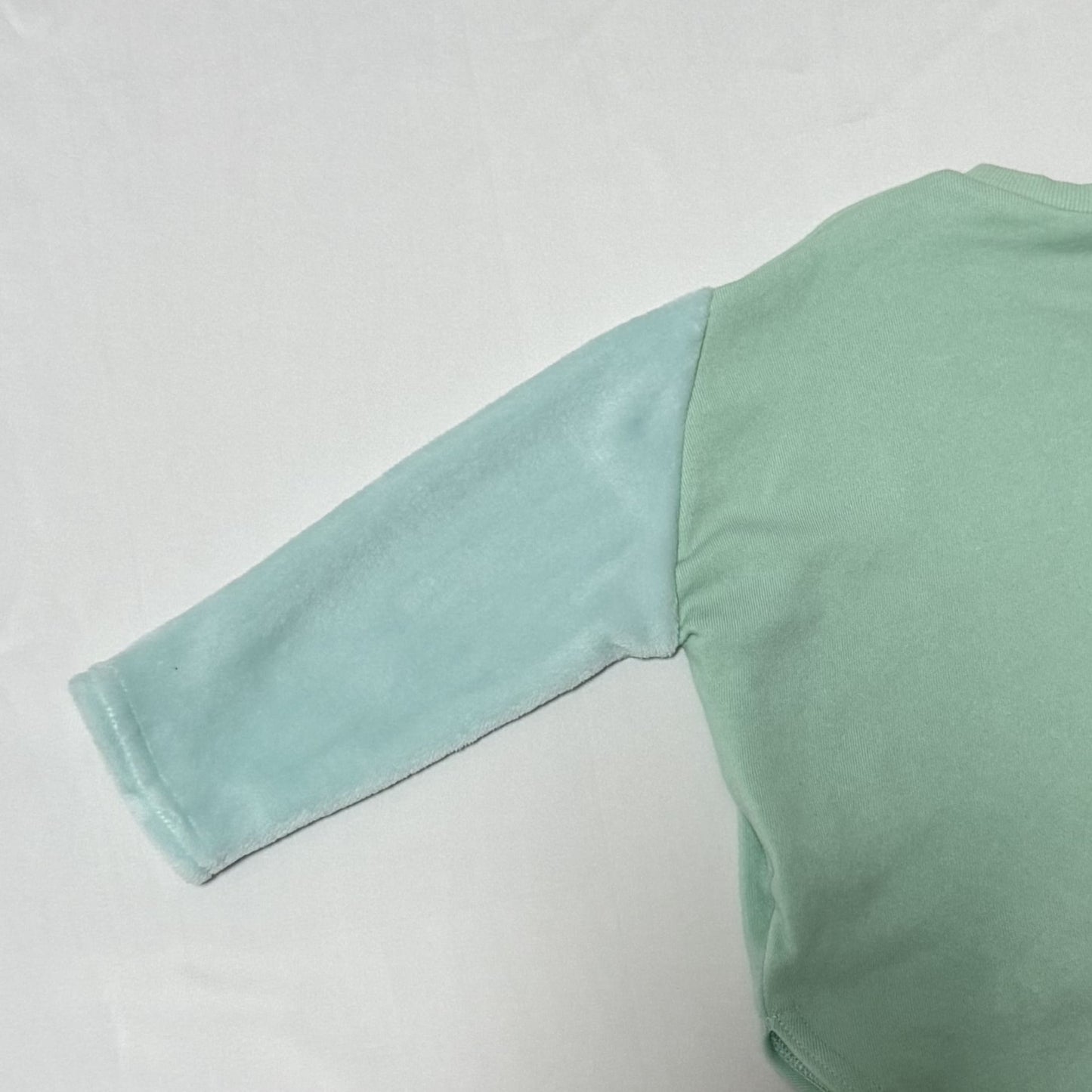 Hangyodon Sweatshirts 2-4T