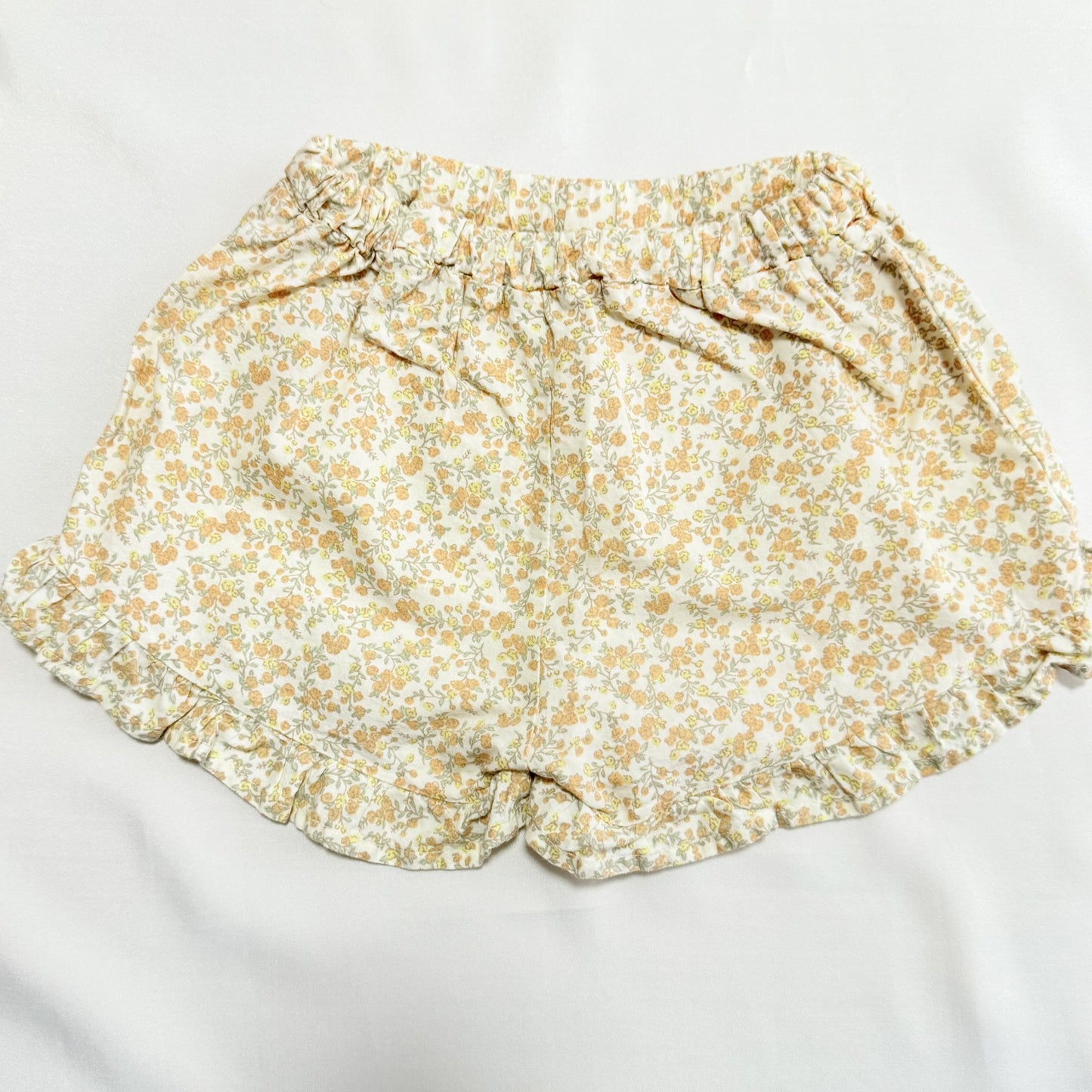 Pompompurin Setup 18-24m