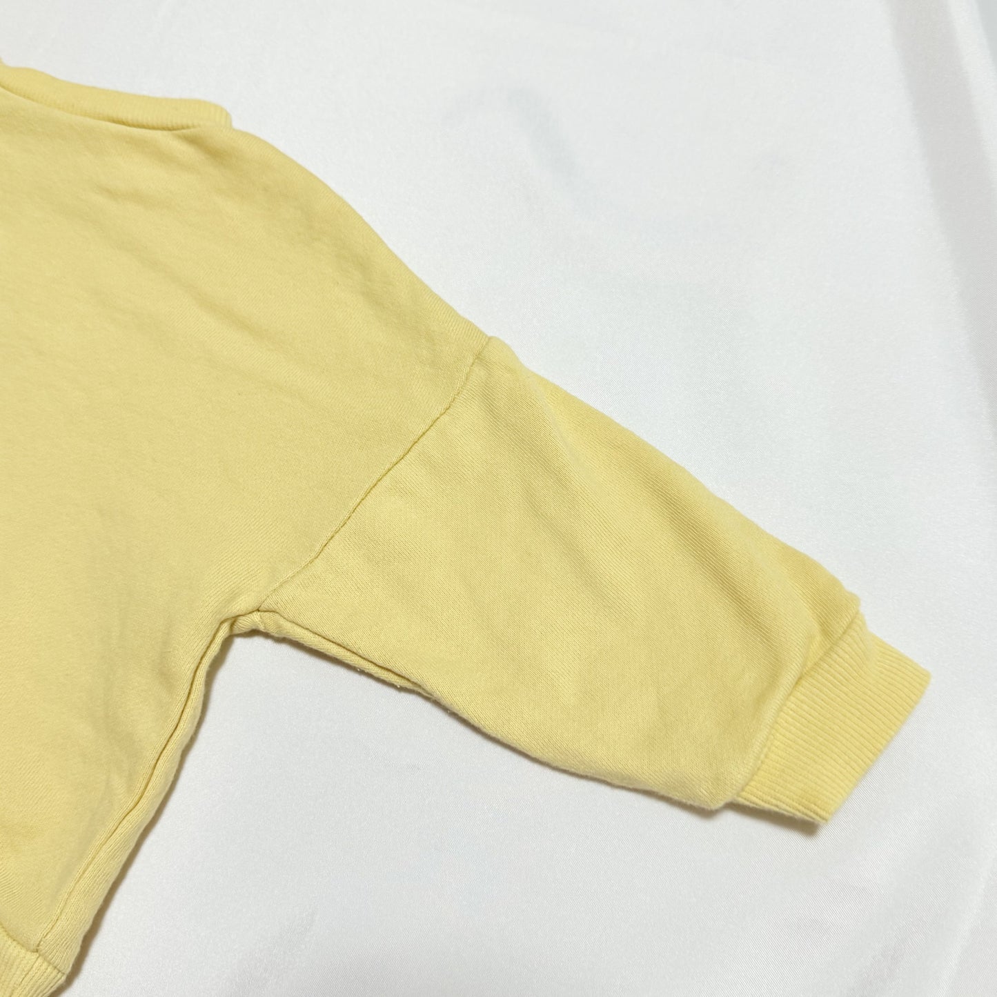 Pompompurin Sweatshirts 12-18m